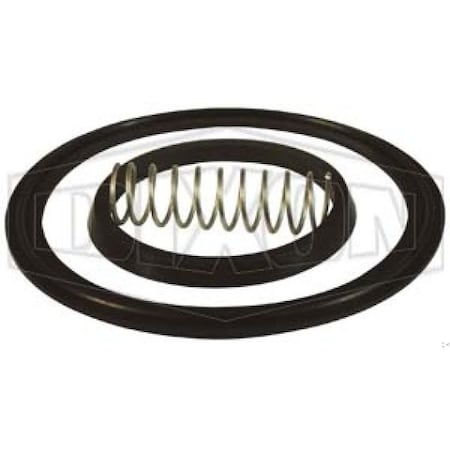 Dixon Spring Check Valve Repair Kit B46MP-RK150